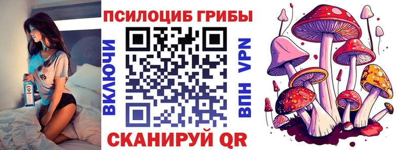 Псилоцибиновые грибы Psilocybe  Купить где  Шелехов 